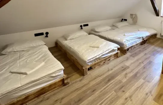 6-bed-mixed-dormitory-room3