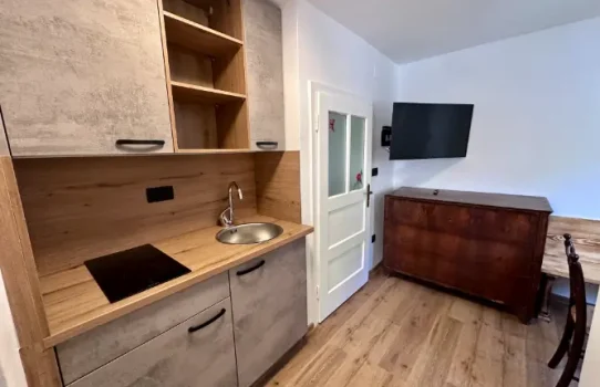 hostel-ribno-apartma-kitchen